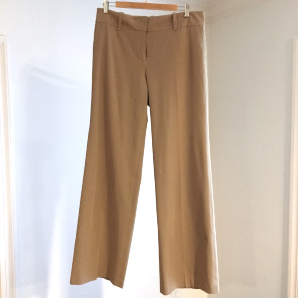 Ann Taylor Pant